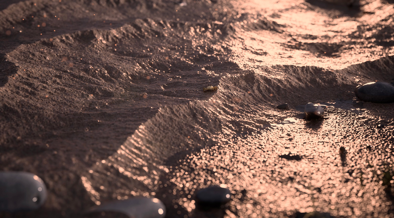 Of Sand and Stones